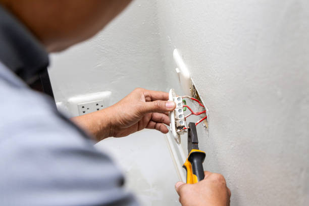 Best Electric Panel Repair  in Richardson, TX